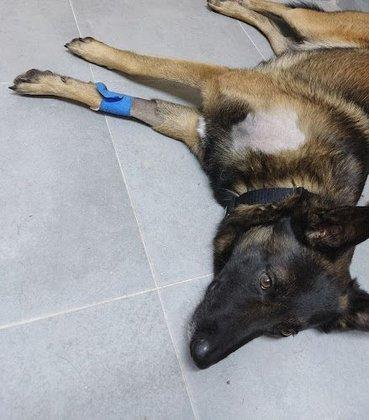 Clínica Veterinaria Postas