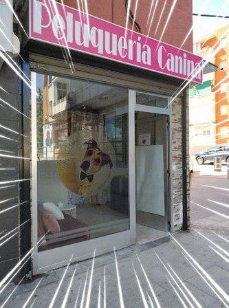 Hollywood Dogs Peluquería Canina