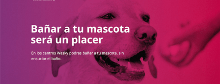 Wasky | Autolavado de mascotas Móstoles Este