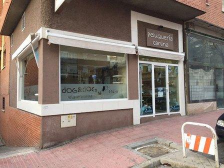 peluqueria canina dog&dog
