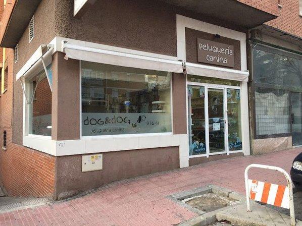 peluqueria canina dog&dog