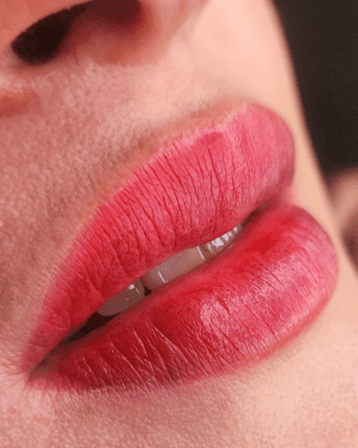 Carolina Reyes PMU Microblading y Micropigmentación de cejas y Labios