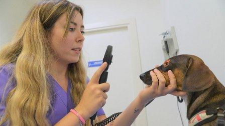 Hospital Veterinario Las Tablas