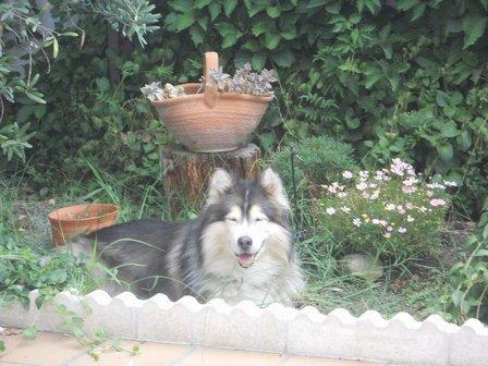 Clínica Veterinaria DOGOS Ciempozuelos