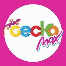Lavado de Coches GeckoMax