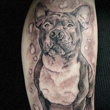 Santa Tinta Tattoo y Piercing