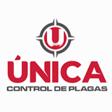 Única Control de Plagas Madrid