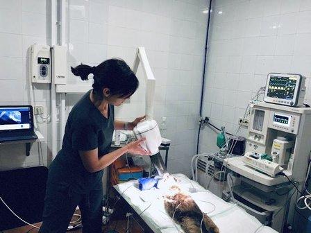 Azahar Veterinary Clinic