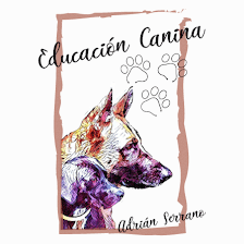 Educación Canina Adrián Serrano