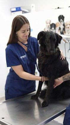 La Moraleja Veterinary Hospital (Peñagrand Group)
