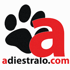 Adiestralo