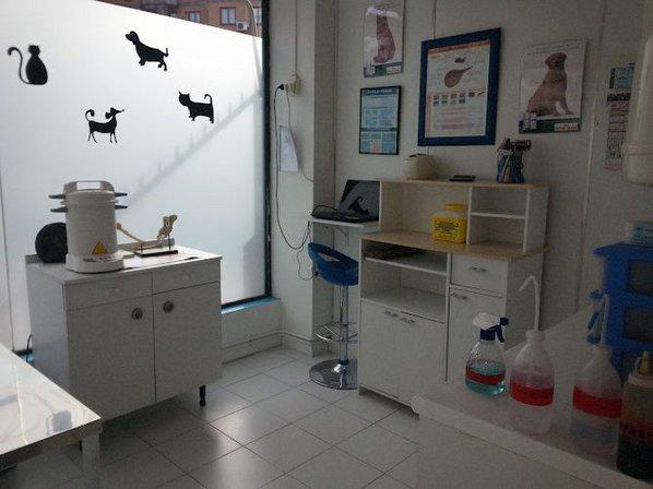 Avenue Veterinary Clinic Spain