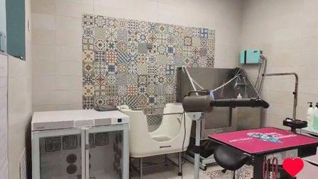 Perruqueria Madrid Río Peluquería Canina Amable