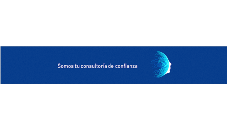 Consultores de Empresas Puime y Alonso