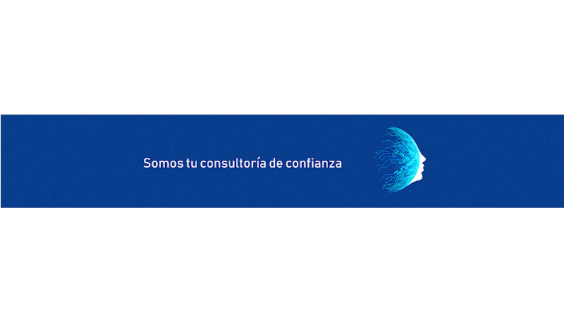 Consultores de Empresas Puime y Alonso