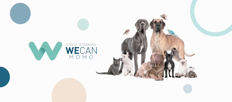 Momo Veterinary Center