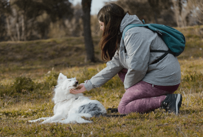 Fénix Educación Canina