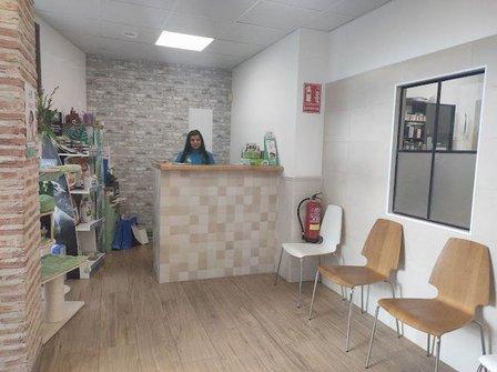Cedillo Veterinary Center