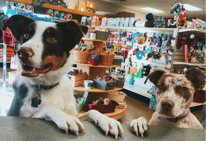 Tienda de mascotas Martha