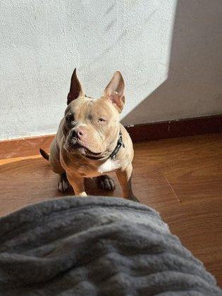 Jose Garcia Pet Care
