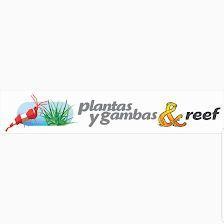 PlantasyGambas & Reef