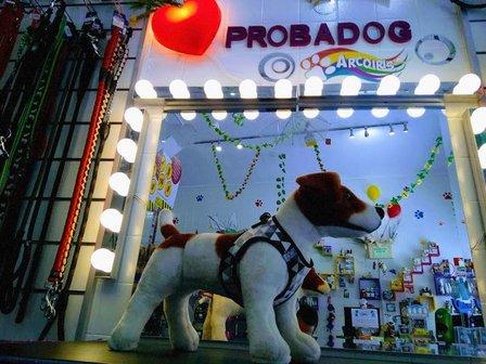 Arcoíris Mascotas