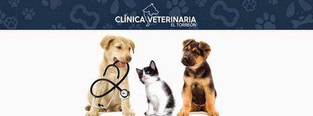 Veterinary Clinic El Torreón