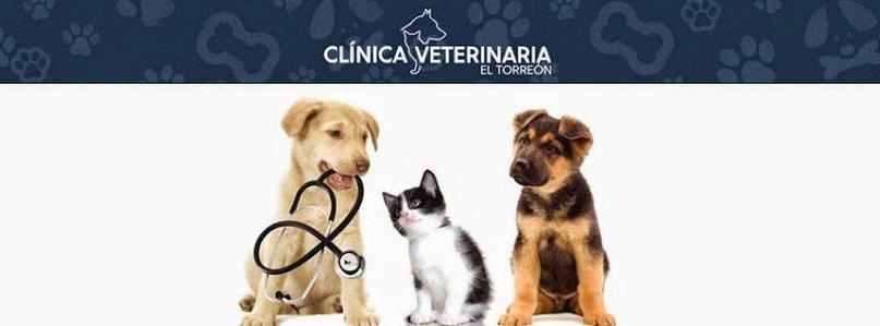 Veterinary Clinic El Torreón