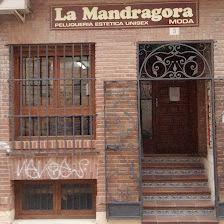 La Mandragora