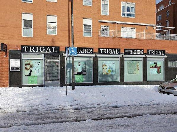 Trigal Peluqueros Bercial