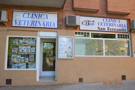 Veterinary Clinic San Fernando