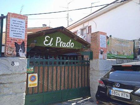 Conejos El Prado