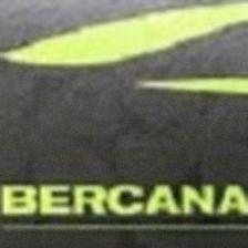 Berca Systems