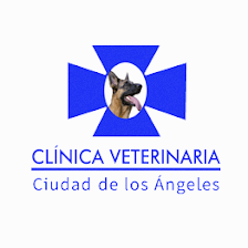 Veterinary Center City of Los Angeles