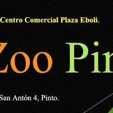 Zoopinto