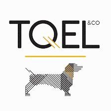 tQel dog trends - Tienda para perros en Madrid
