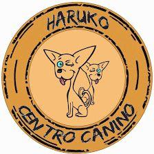 TAO Centro Canino