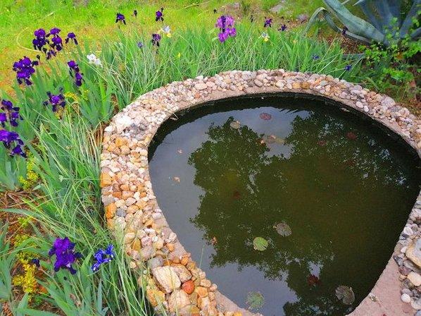 Jardín Botánico Valle del Tiétar