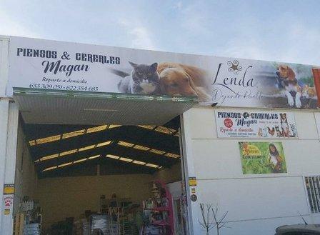 Taller Magan car