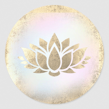 Estética Flor de Loto