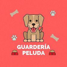 Guardería Peluda