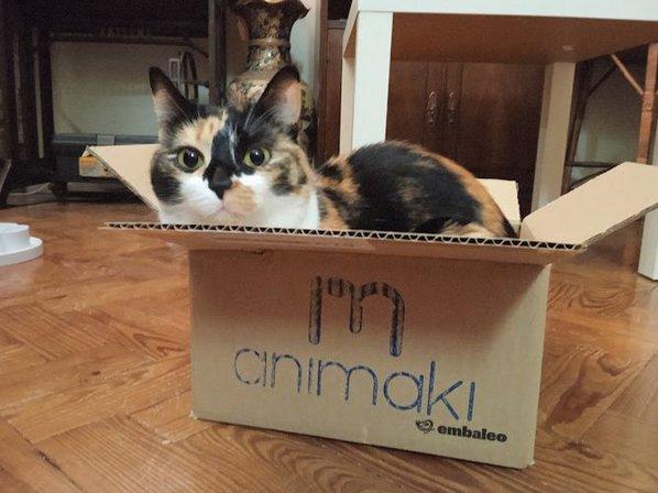 Animaki