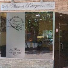 Álamos Peluqueros