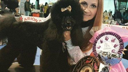 Miss Rumba Guardería y Peluquería Canina by María Casillas