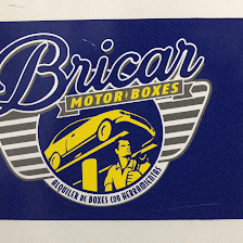 Bricar Motor