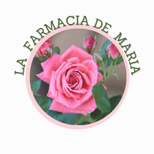 MARIA R. RAMOS ESTEBAN