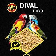 DIVAL HOYO