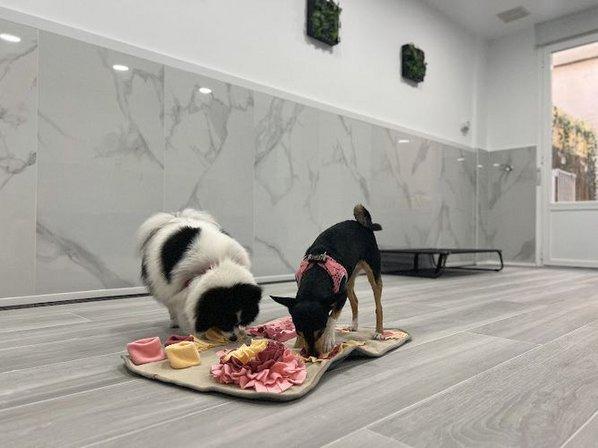 Kinder Kan