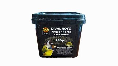 DIVAL HOYO