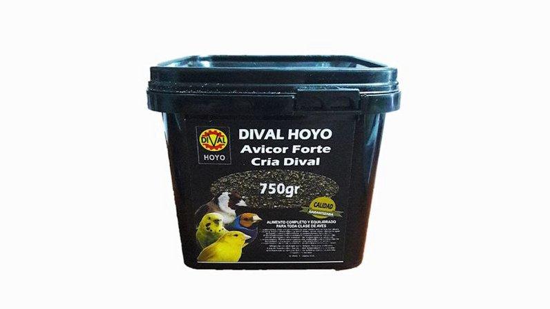DIVAL HOYO
